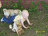Kimberly playing with dogs.jpg (151681 bytes)